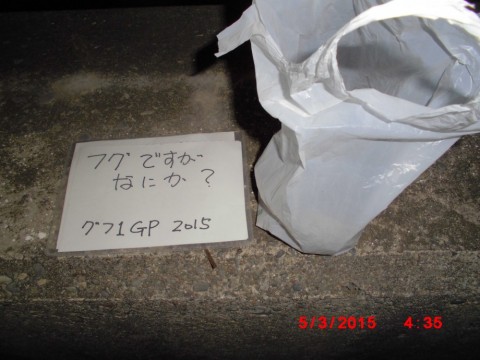 zeizn7673kmj9ucwbjwz_480_480-1b9d6c92.jpg