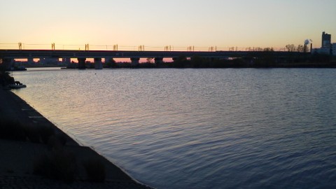 zeygftxmbrnnwpyfvce8_480_480-65b0822e.jpg