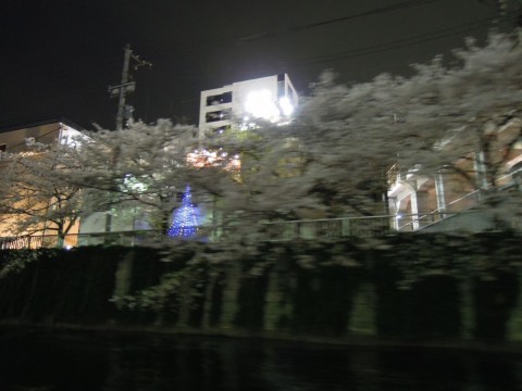 zeyhuydnx97rkp3asot2_480_480-a7106141.jpg
