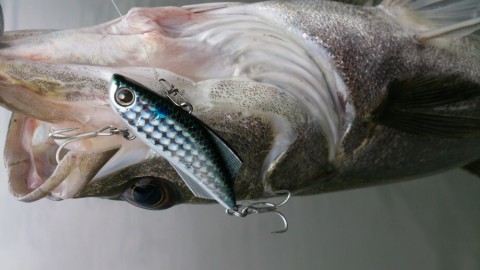 zf7h42sf9ukkgpppng6x_920_517-8c3b4ee0.jpg