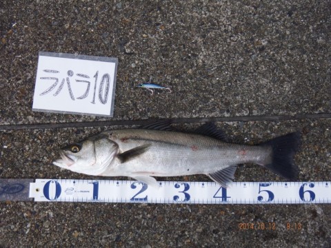 zf9kfv653yvn832wjyeg_920_690-88ca2d0a.jpg