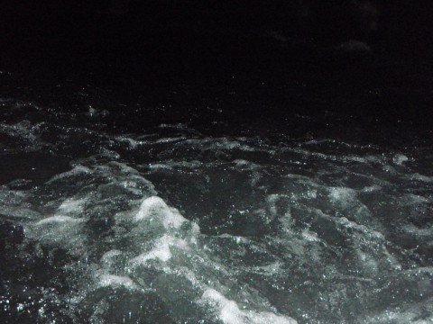 zfbmaoxfz89nrv2yh5jw_480_480-13ed9003.jpg