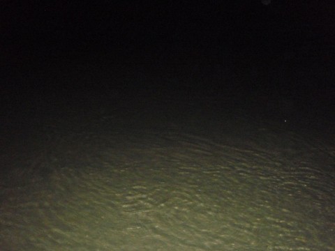 zfd8d32fcex6amawrwvk_480_480-a9c0a7e6.jpg