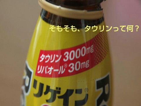 zfmp59ks4ba4d9fbe78z_640_480-4229d36a.jpg