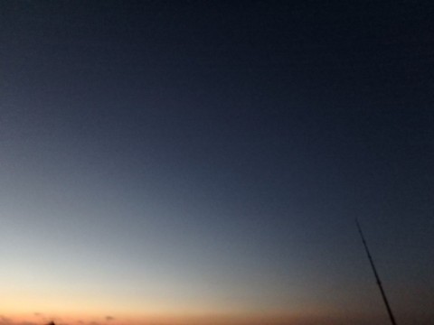 zfpzk7v997kizv4tw9ki_480_480-29041624.jpg