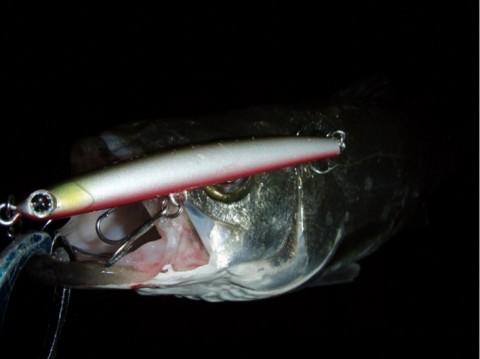 zfsrxkm9rxbyrdigjces_920_689-9c5038d3.jpg