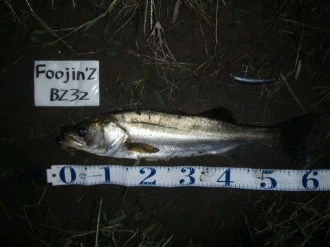 zfwupnnk3e63xj3k95j6_920_690-70b6d65e.jpg