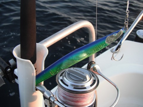 zg3canobtbgikk6jm5uh_480_480-4c709667.jpg
