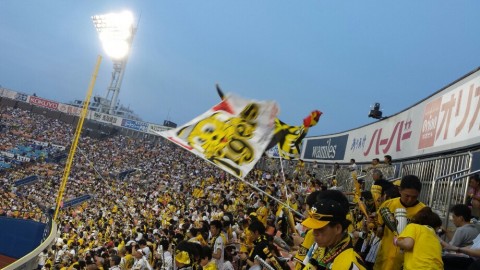 zg5sbhr5dcbvhnzazpx2_920_518-a9659fe3.jpg