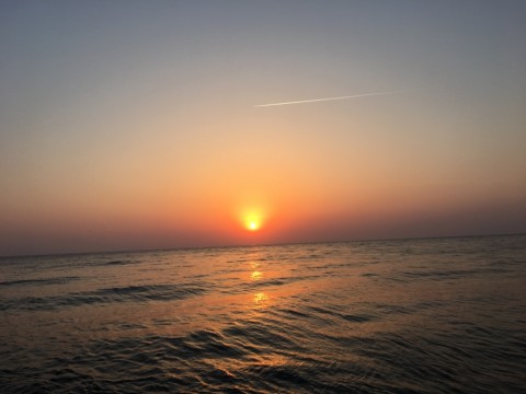 zgrwdmjw758ofz9dnom4_920_690-2126071b.jpg