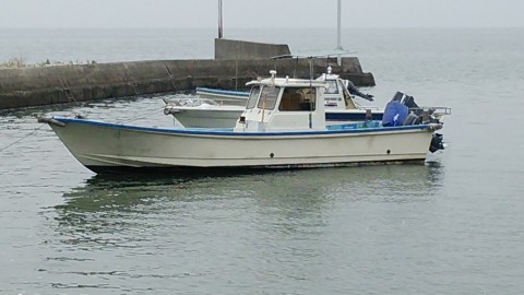 zgwrdjmooof94m7ejss6_480_480-81ad5cb2.jpg