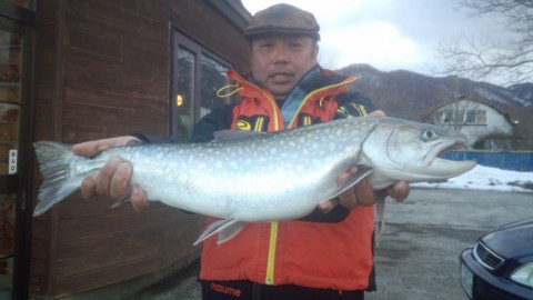 zh5p543k4xnckok96guk_480_480-8ff8ec52.jpg