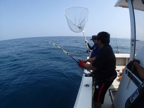 zh6v8d4o7j5yed689tui_480_480-3a8507bb.jpg