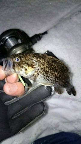 zhfsggjfkknd3hdwxuj7_518_920-987211de.jpg