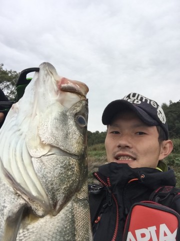 zhioc3ts6y3k37u9gx24_690_920-ef8872d1.jpg