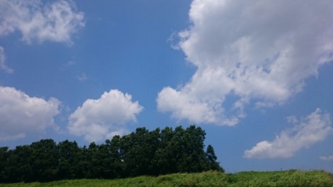 zhjcrua4fb9r2y5cpbk2_920_518-62094afa.jpg