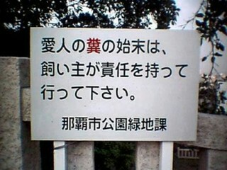 zhkj37xi7xbdrfto434t_320_240-cbb27b10.jpg