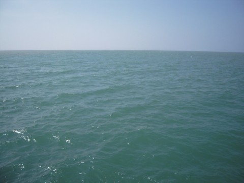 zhso3vywikkonffwc6t3_480_480-19d82077.jpg