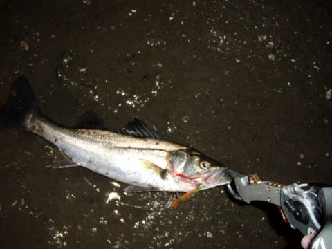zhz3s2bmk4tdsg93tn4m_920_690-1ec781e3.jpg