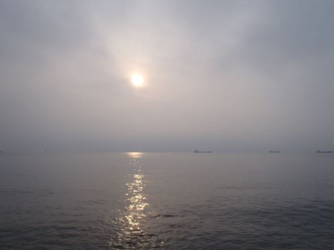 zi8e67n5uk8kk8tmj3y3_480_480-f0c326b3.jpg