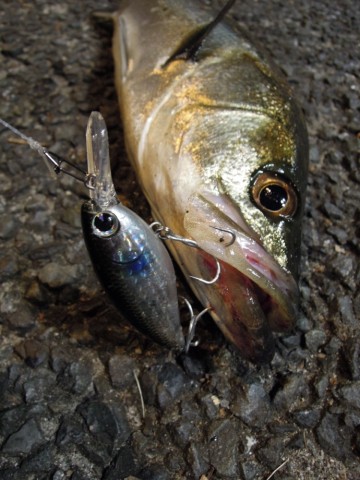 zidgokn8itnstpd8d922_690_920-53090b29.jpg