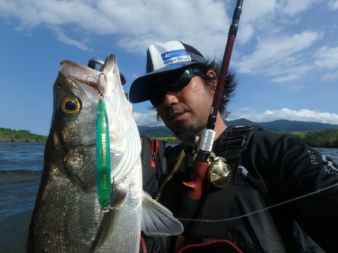 zikxed2cbk6atu37z9nd_920_690-3624801f.jpg