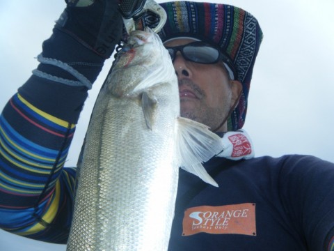zitueoz59ran45wjwybc_480_480-41276d7d.jpg