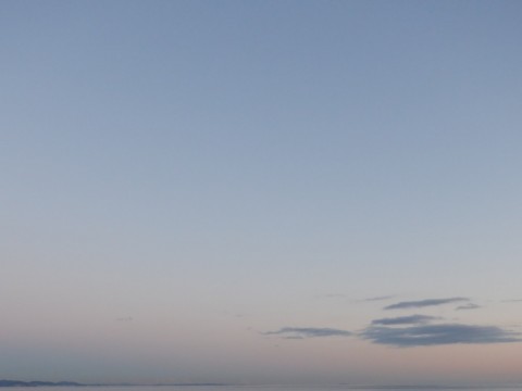 zivbn7m9w4ydxensmj7c_480_480-e364b846.jpg