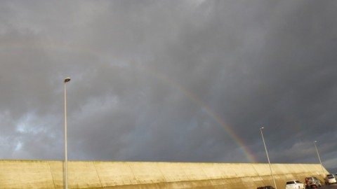 zjc5iomxt4fx9beoriim_480_480-ab1fec57.jpg