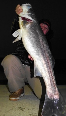 zjrzi694ytfjoutfmacm_480_480-16b20115.jpg