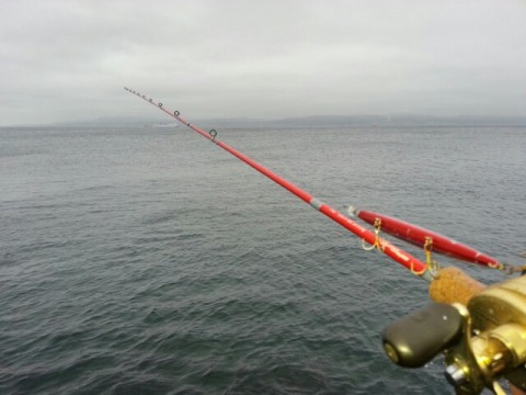 zk7xbw6ryr2j279ph5ig_640_480-205eec7a.jpg