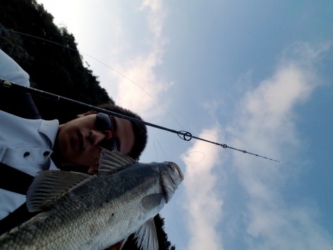 zk8k6kdkbyucf4x2xgtc_480_480-0be33841.jpg