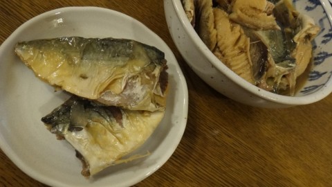 zka2s47vpb77yh5ajf4t_480_480-f5af60c3.jpg