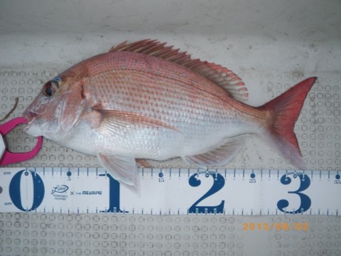 zkdt2ijj8dsvwdt3iawy_480_480-b8e0b758.jpg