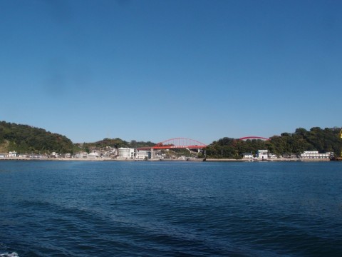 zkifjjzp36ohdv7893z9_480_480-dc51f520.jpg