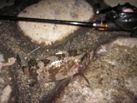 zkkhjauwdpoj2bz46mw9_480_480-5d3f3f36.jpg