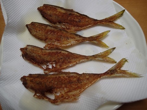 zkzm5guigfiatdbpswse_480_480-8c484442.jpg