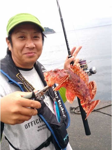 zm843c2ksj3xw26tt8jp_480_480-fe861f58.jpg