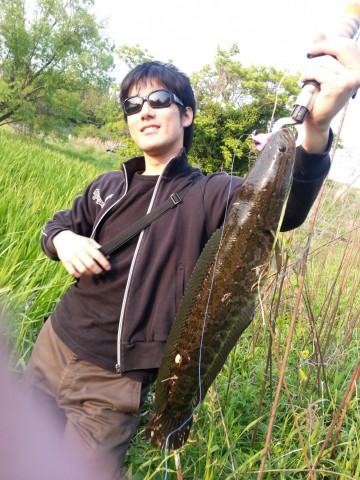 zm8mxwbrfngao78ddeyz_480_480-f92910e1.jpg