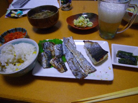 Tight Line シーバスを美味しく Tight Line シーバスを美味しく