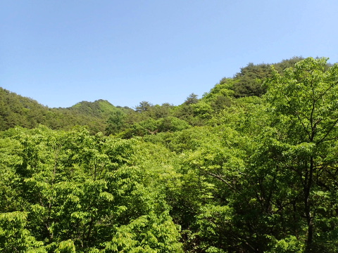 zmia3r894cgyrvdcbu3e-44902743.jpg