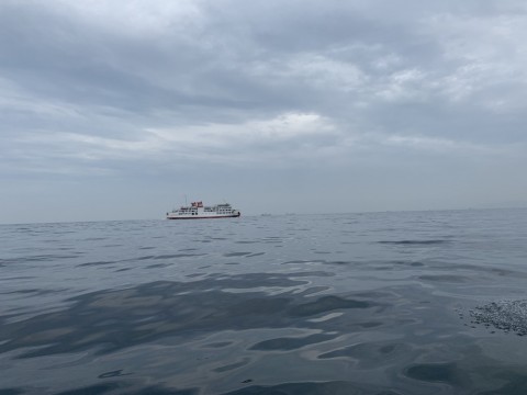 zmsbegyfyj424rp7j9to_480_480-382aca34.jpg