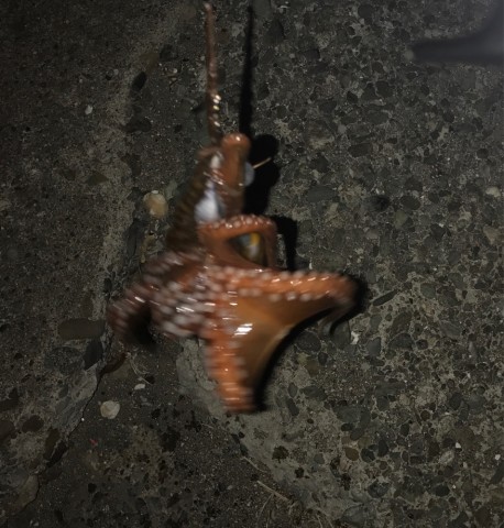 zn4dyimongid2ehmndzy_878_920-c4c44728.jpg