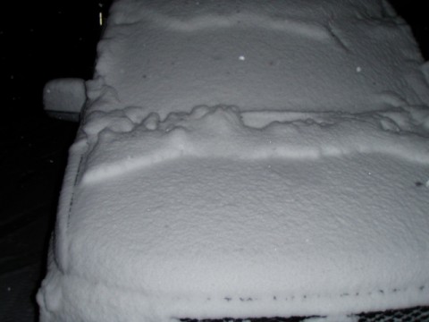 znr92o9t9bkesmrbnzcz_480_480-31c13b66.jpg