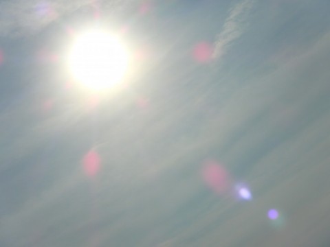 znto8ag2dbsuevn6oi7k_480_480-b6c7aeba.jpg
