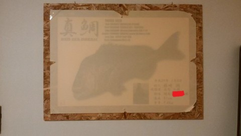 znu3hokecfbcttb5xtr5_480_480-ab611188.jpg