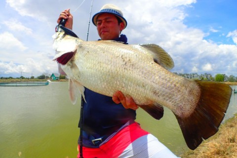 znwofnc95z55t2w8ttv8_480_480-7d35aa7a.jpg