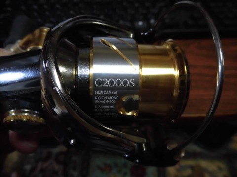 znxrfk6iv8g3u6wafjao_480_480-1afb5bf2.jpg