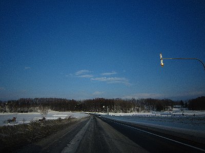 zo6kbe2edd77gxay349j-28636b62.jpg