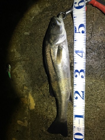 zob27keutubu82ume8ef_690_920-4ab585a8.jpg
